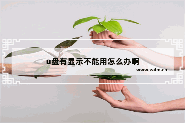 u盘有显示不能用怎么办啊