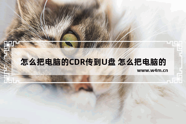 怎么把电脑的CDR传到U盘 怎么把电脑的cdr传到u盘上