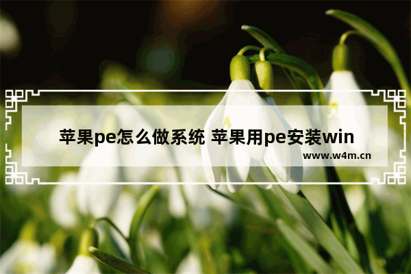 苹果pe怎么做系统 苹果用pe安装win10