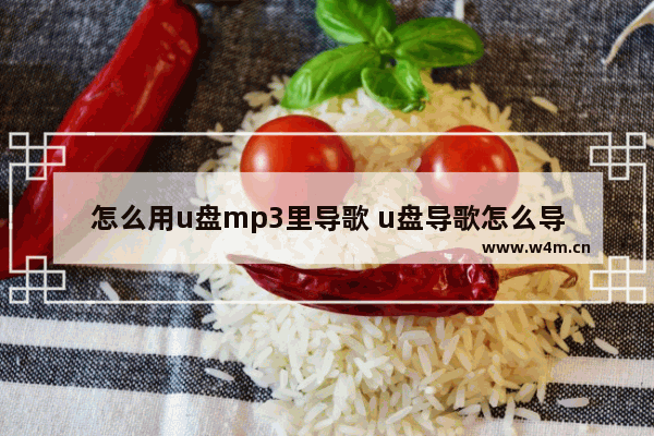 怎么用u盘mp3里导歌 u盘导歌怎么导