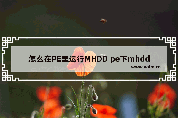 怎么在PE里运行MHDD pe下mhdd