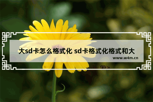 大sd卡怎么格式化 sd卡格式化格式和大小