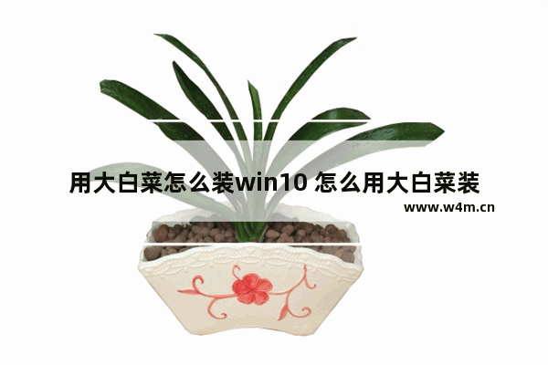 用大白菜怎么装win10 怎么用大白菜装win10系统