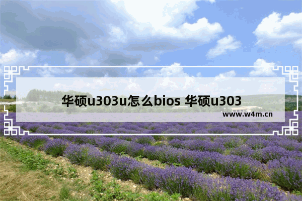 华硕u303u怎么bios 华硕u303lbios设置u盘