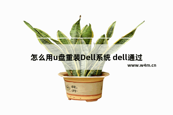 怎么用u盘重装Dell系统 dell通过u盘重装系统