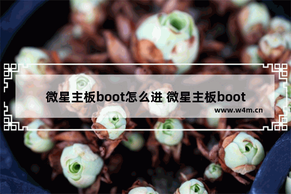 微星主板boot怎么进 微星主板boot menu在哪