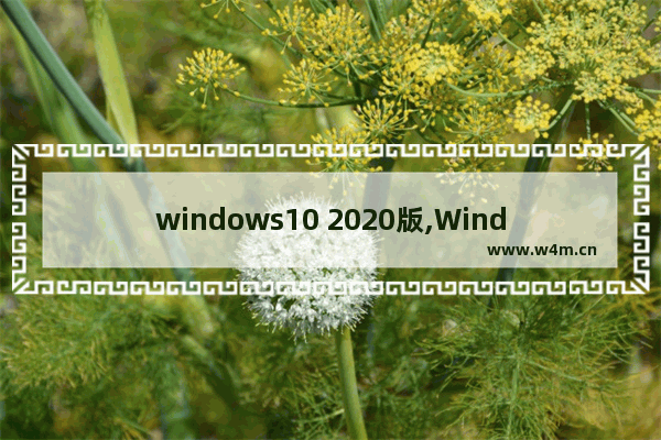 windows10 2020版,Windows10最新版下载