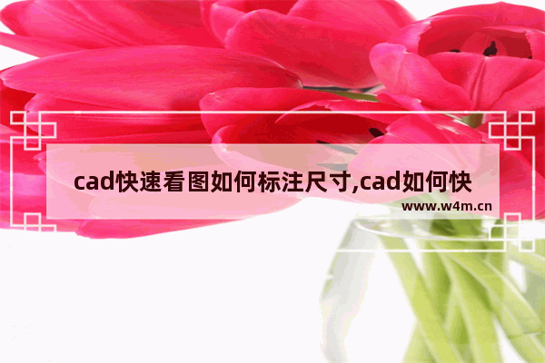 cad快速看图如何标注尺寸,cad如何快速标注尺寸快捷键