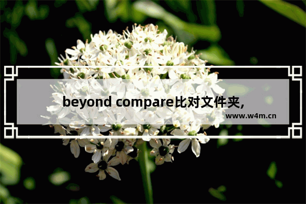 beyond compare比对文件夹,beyondcompare三个文件比较