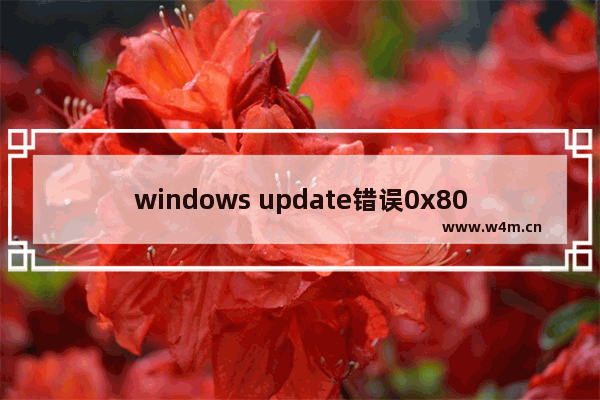 windows update错误0x80244022,windows update错误80072efe