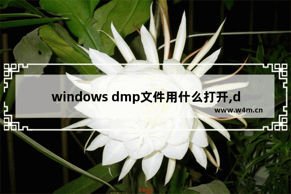 windows dmp文件用什么打开,dmg文件如何在windows10打开