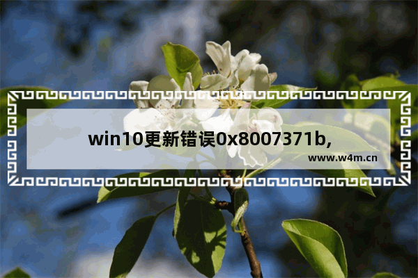 win10更新错误0x8007371b,win10更新错误0x8007042c