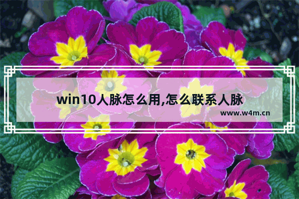 win10人脉怎么用,怎么联系人脉