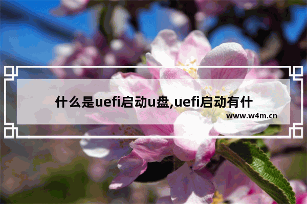 什么是uefi启动u盘,uefi启动有什么用