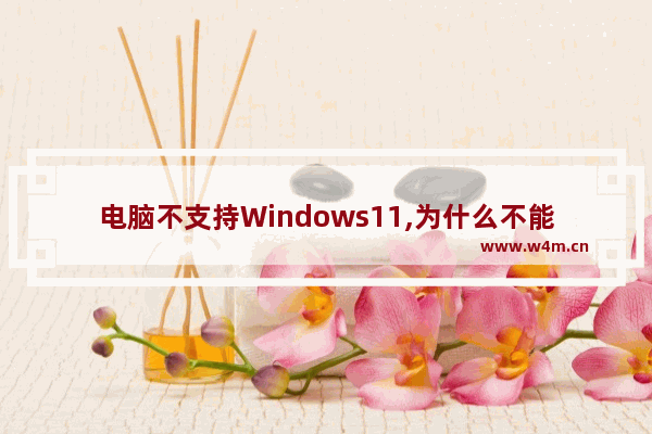 电脑不支持Windows11,为什么不能安装win11