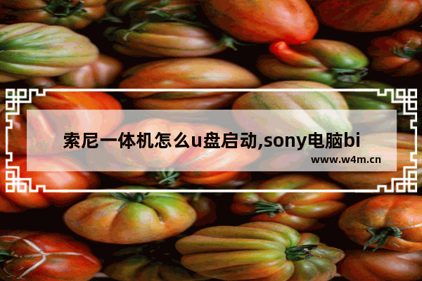 索尼一体机怎么u盘启动,sony电脑bios设置u盘启动