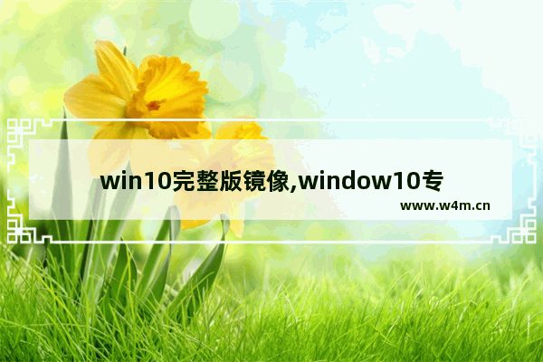 win10完整版镜像,window10专业版镜像原版