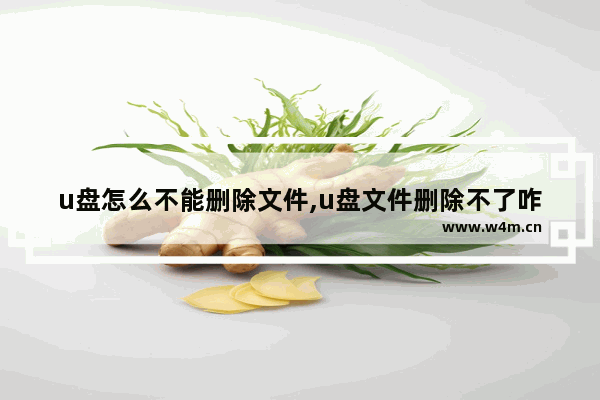 u盘怎么不能删除文件,u盘文件删除不了咋整