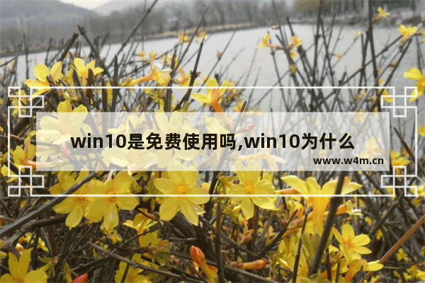 win10是免费使用吗,win10为什么免费