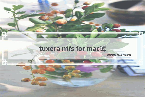 tuxera ntfs for mac试用期已过期,tuxera ntfs for mac内核扩展需要批准