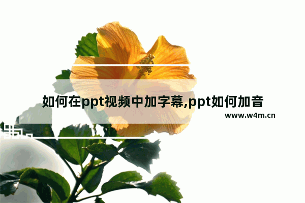 如何在ppt视频中加字幕,ppt如何加音频字幕