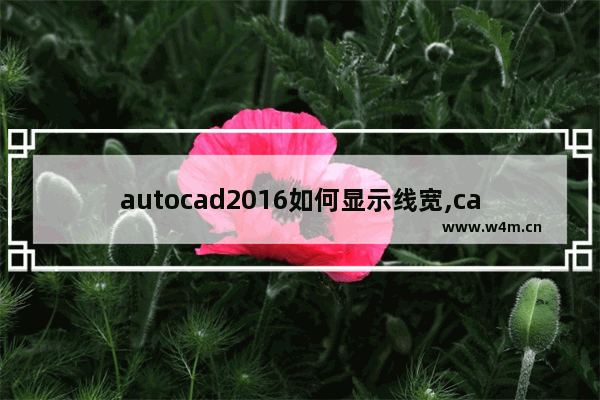 autocad2016如何显示线宽,cad2014怎么设置显示线宽