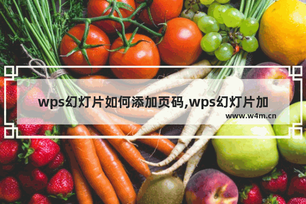 wps幻灯片如何添加页码,wps幻灯片加页码看不见