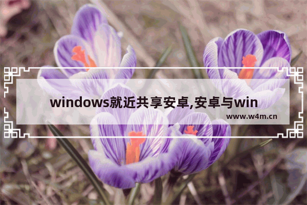 windows就近共享安卓,安卓与win10共享文件