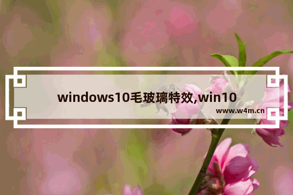 windows10毛玻璃特效,win10有毛玻璃效果吗