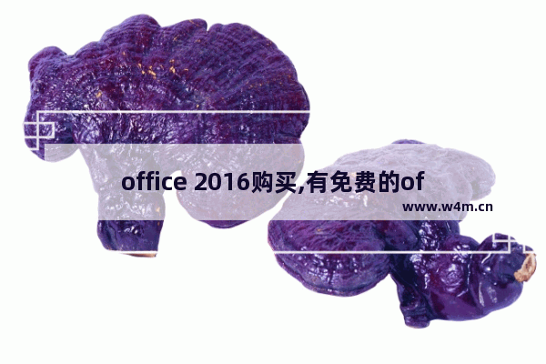 office 2016购买,有免费的office2016吗