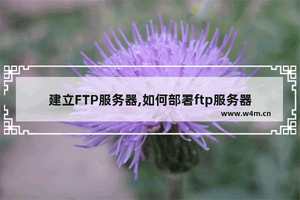 建立FTP服务器,如何部署ftp服务器