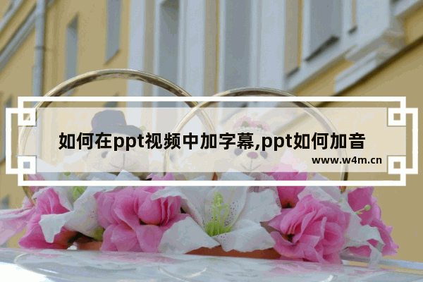 如何在ppt视频中加字幕,ppt如何加音频字幕