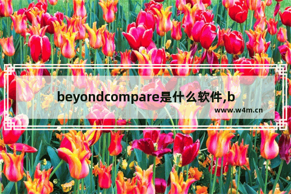 beyondcompare是什么软件,beyond compare怎么安装