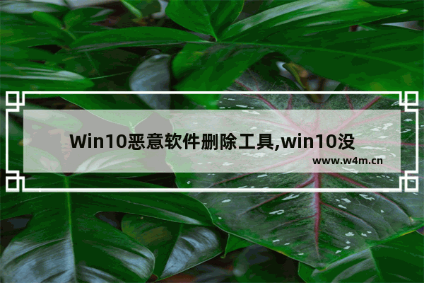 Win10恶意软件删除工具,win10没有恶意软件删除工具