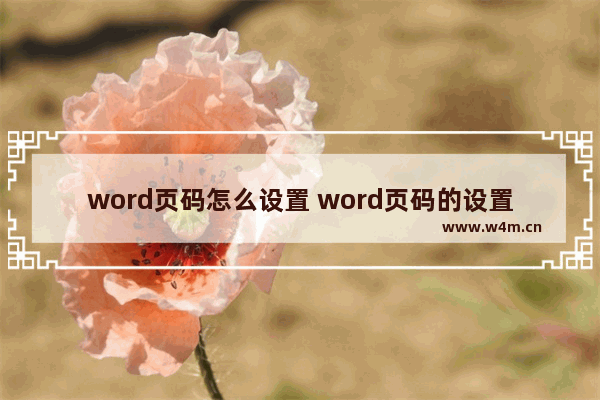 word页码怎么设置 word页码的设置步骤