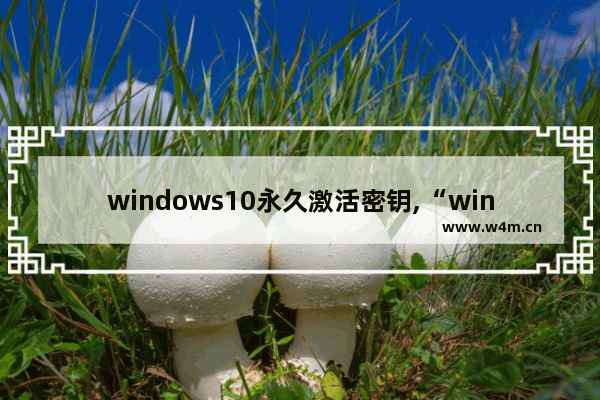 windows10永久激活密钥,“win10激活密钥”