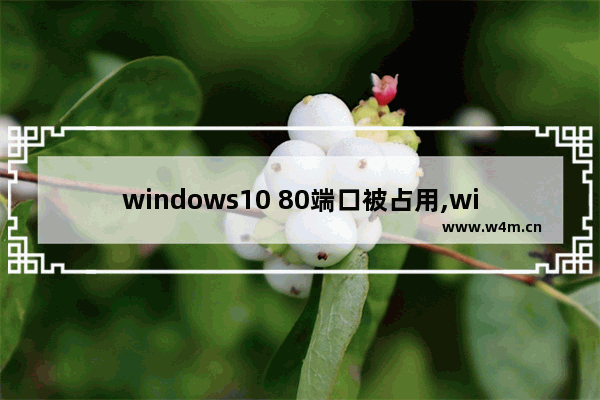 windows10 80端口被占用,windows 80端口被占用