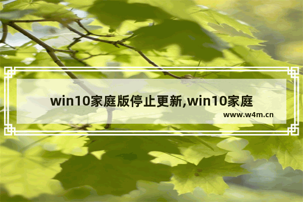 win10家庭版停止更新,win10家庭版永久停止自动更新