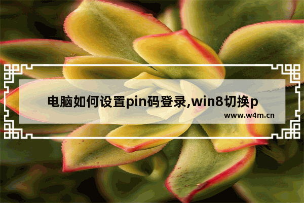 电脑如何设置pin码登录,win8切换pin码登录