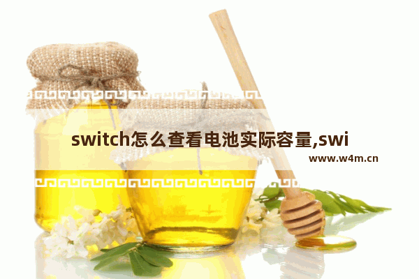 switch怎么查看电池实际容量,switch查看电池寿命