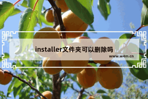 installer文件夹可以删除吗