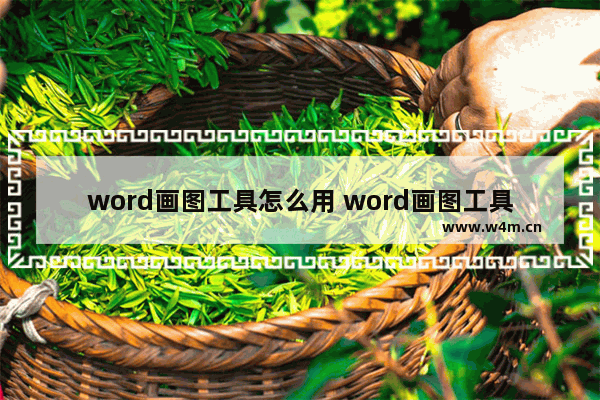 word画图工具怎么用 word画图工具使用的步骤