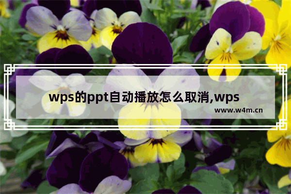 wps的ppt自动播放怎么取消,wps ppt如何取消自动播放