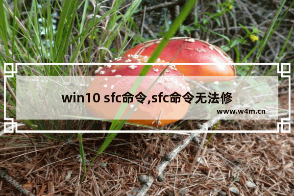 win10 sfc命令,sfc命令无法修复