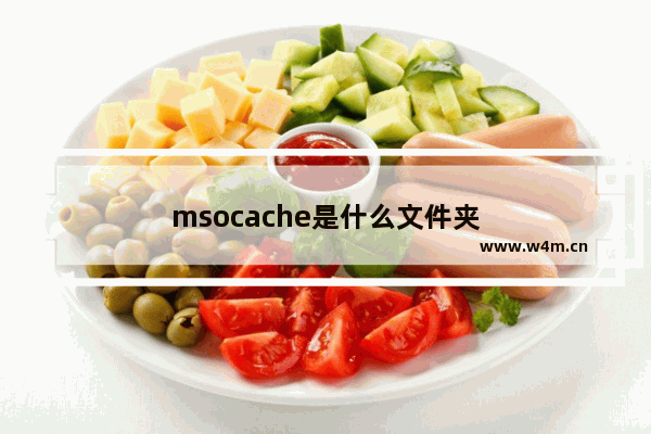 msocache是什么文件夹