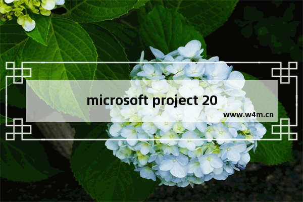 microsoft project 2010密钥,microsoft project2007密钥