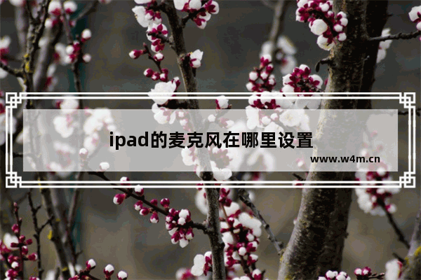 ipad的麦克风在哪里设置