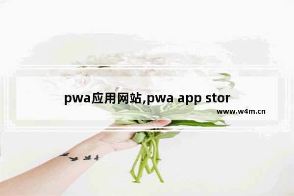 pwa应用网站,pwa app store