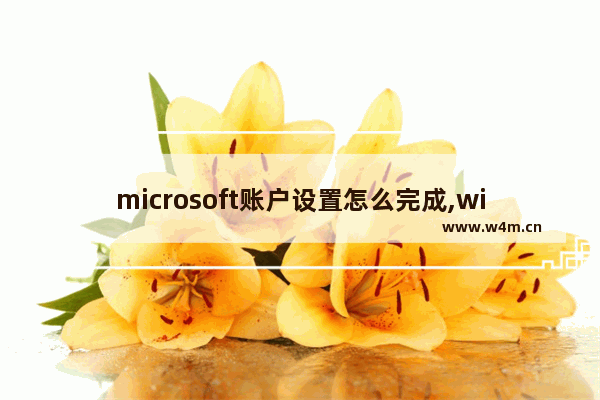 microsoft账户设置怎么完成,windows10设置用户账户的方法