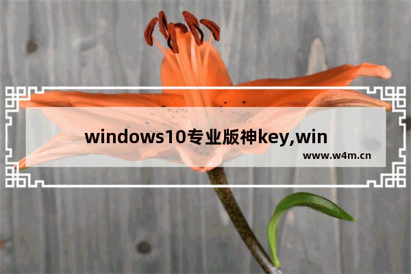 windows10专业版神key,window10神key_1